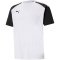PUMA teamPACER Trainingsshirt Herren PUMA white/PUMA black 3XL