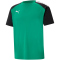 PUMA teamPACER Trainingsshirt Herren pepper green/black/white S