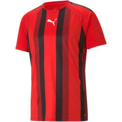 PUMA teamLIGA Striped Trainingsshirt Herren PUMA...