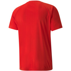 PUMA teamLIGA Striped Trainingsshirt Herren PUMA...