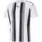 PUMA teamLIGA Striped Trainingsshirt Herren PUMA white/PUMA black XXL