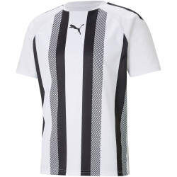PUMA teamLIGA Striped Trainingsshirt Herren PUMA...