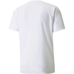 PUMA teamLIGA Striped Trainingsshirt Herren PUMA...
