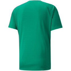 PUMA teamLIGA Striped Trainingsshirt Herren pepper...