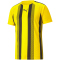 PUMA teamLIGA Striped Trainingsshirt Herren cyber yellow/puma black L