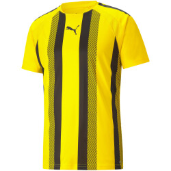 PUMA teamLIGA Striped Trainingsshirt Herren cyber...