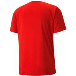 PUMA teamVISION Trikot Herren PUMA red/chili pepper/white...