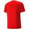 PUMA teamVISION Trainingsshirt Herren PUMA red/chili pepper/white L