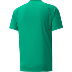 PUMA teamVISION Trainingsshirt Herren...