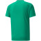 PUMA teamVISION Trainingsshirt Herren peppergreen/powergreen/white XXL