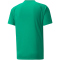 PUMA teamVISION Trainingsshirt Herren 05 - pepper green/power green/puma white 3XL
