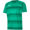 PUMA teamVISION Trainingsshirt Herren 05 - pepper green/power green/puma white S