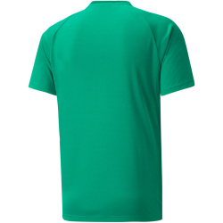 PUMA teamVISION Trainingsshirt Herren 05 - pepper green/power green/puma white L