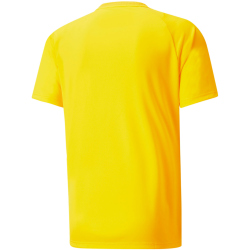 PUMA teamVISION Trikot Herren cyber yellow/spectra/black M
