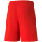 PUMA teamLIGA Trainingsshorts Herren PUMA red/PUMA white XL