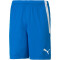 PUMA teamLIGA Trainingsshorts Herren electric blue lemonade L