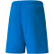 PUMA teamLIGA Trainingsshorts Herren electric blue lemonade L