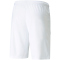 PUMA teamLIGA Shorts Herren 04 - PUMA white/PUMA black XXL