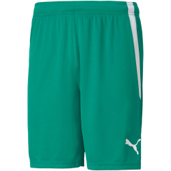 PUMA teamLIGA Shorts Herren 05 - pepper green/puma white XXL