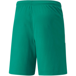 PUMA teamLIGA Shorts Herren 05 - pepper green/puma white XXL