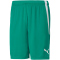 PUMA teamLIGA Shorts Herren 05 - pepper green/puma white XXL