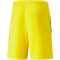 PUMA teamLIGA Shorts Herren 07 - cyber yellow/puma black XL