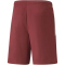 PUMA teamLIGA Shorts Herren 09 - cordovan/puma white XXL
