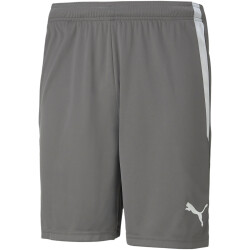 PUMA teamLIGA Trainingsshorts Herren smoked pearl/puma...
