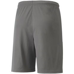 PUMA teamLIGA Shorts Herren 13 - smoked pearl/puma white XXL