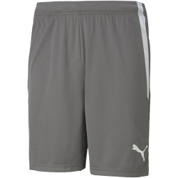 PUMA teamLIGA Shorts Herren 13 - smoked pearl/puma white S