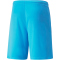 PUMA teamLIGA Trainingsshorts Herren 40 - blue atoll/puma black XL