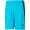 PUMA teamLIGA Trainingsshorts Herren 40 - blue atoll/puma black S