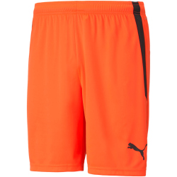 PUMA teamLIGA Shorts Herren nrgy red/puma black M