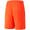 PUMA teamLIGA Trainingsshorts Herren nrgy red/puma black L