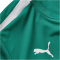 PUMA teamLIGA Trikot Kinder 05 - pepper green/puma white 116