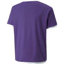 PUMA teamLIGA Trikot Kinder 10 - prism violet/puma white 116