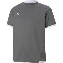 PUMA teamLIGA Trikot Kinder smoked pearl/puma white 164