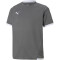 PUMA teamLIGA Trainingsshirt Kinder smoked pearl/puma white 164
