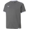 PUMA teamLIGA Trikot Kinder smoked pearl/puma white 164