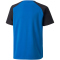 PUMA teamPACER Trikot Kinder electric blue/black/white 164