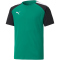 PUMA teamPACER Trikot Kinder pepper green/black/white 164