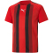 PUMA teamLIGA Striped Trainingsshirt Kinder PUMA red/black/white 152