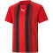 PUMA teamLIGA Striped Trainingsshirt Kinder PUMA red/black/white 116