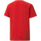 PUMA teamLIGA Striped Trainingsshirt Kinder PUMA red/black/white 116