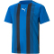 PUMA teamLIGA Striped Trainingsshirt Kinder electric blue/black/white 152