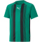 PUMA teamLIGA Striped Trikot Kinder pepper green/black/white 152