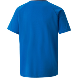 PUMA teamVISION Trainingsshirt Kinder electric blue/limoges/white 164