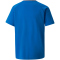 PUMA teamVISION Trainingsshirt Kinder electric blue/limoges/white 164