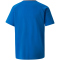 PUMA teamVISION Trainingsshirt Kinder electric blue/limoges/white 164