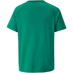 PUMA teamVISION Trainingsshirt Kinder...